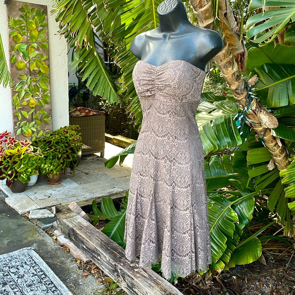 Newport News strapless lace fit, and flare dress